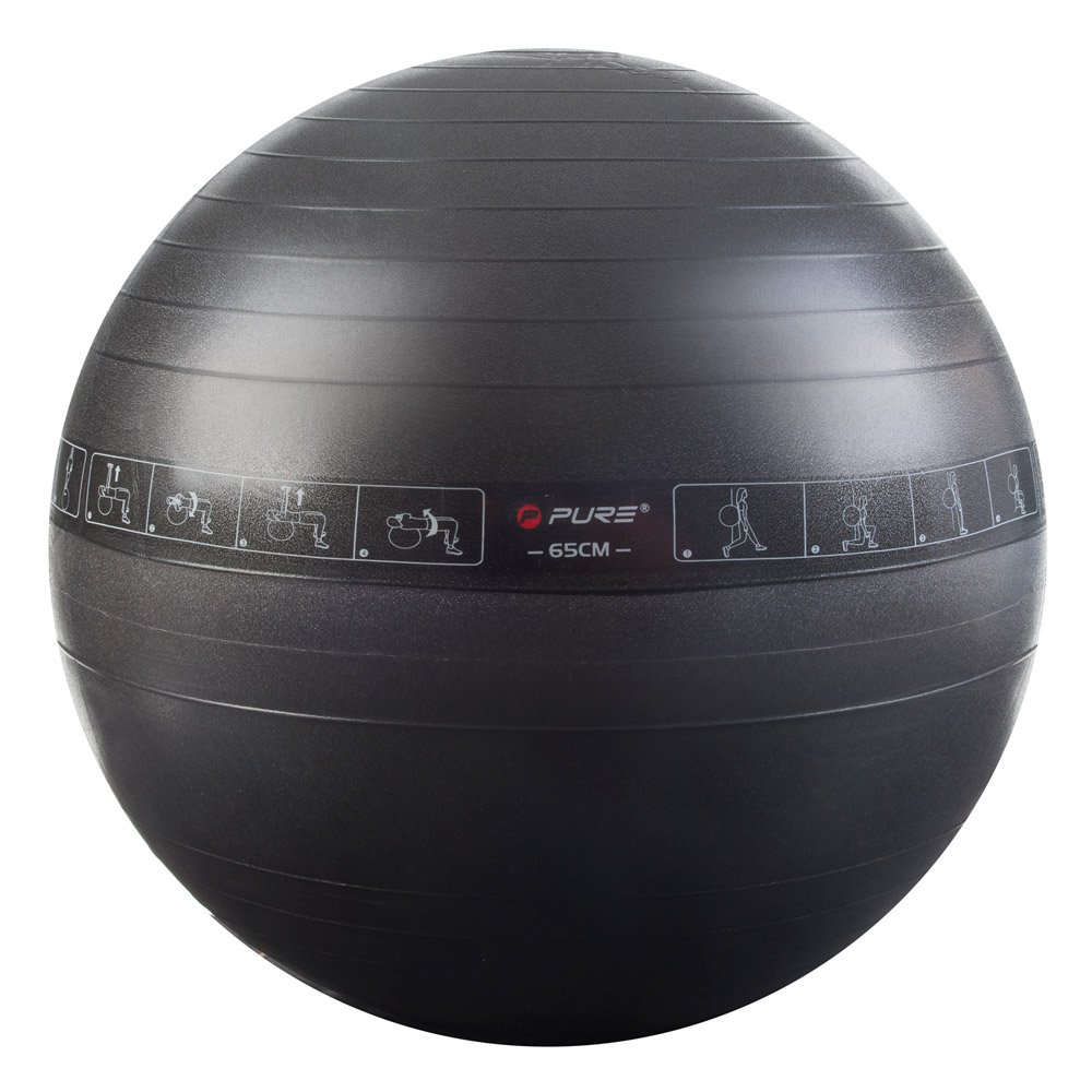 Pure 2I Exercise Ball 65Cm 1100Gram